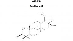 白桦脂酸对照品