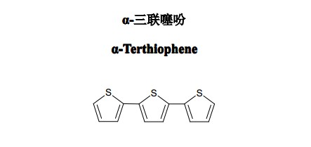 α-三联噻吩（α-Terthiophene）中药化学对照品