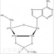 Adenosine 2’,3’-Cyclic Phosphate-13C5 Triethylammonium Salt