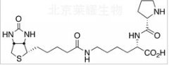 Biocytin-L-proline标准品