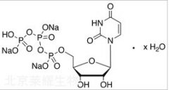 Uridine 5’-Triphosphate Trisodium Salt Hydrate