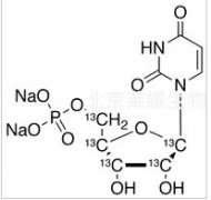 Uridine-13C5 5’-Monophosphate Disodium Salt