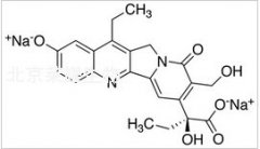 SN-38 Carboxylate Disodium Salt标准品