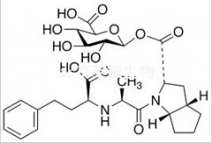 Ramiprilat Acyl-β-D-glucuronide >65%