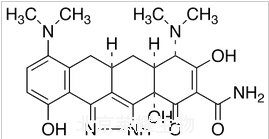 Pyrazolo Minocycline