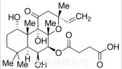 半琥珀酸福斯克林标准品