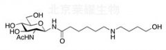N-[2-(Acetylamino)-2-deoxy-β-D-glucopyranosyl]-6-((4-hydroxybutyl)amino)hexanamide