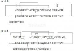 重组人促卵泡激素