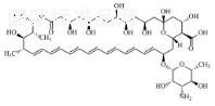 两性霉素B标准品