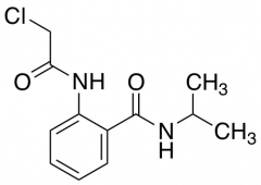 2-(2-Chloroacetamido)-N-(propan-2-yl)benzamide