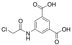 5-(2-Chloroacetamido)benzene-1,3-dicarboxylic Acid
