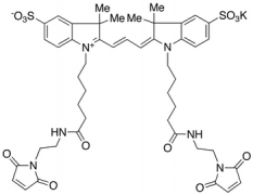 Cyanine 3-Bismaleimide, Potassium Salt, 90%