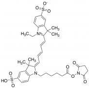Cyanine 5, SE
