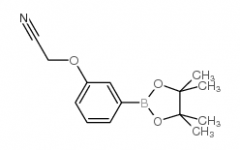 3-Cyanomethoxyphenylboronic acid, pinacol ester