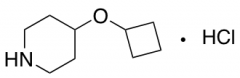 4-Cyclobutoxypiperidine Hydrochloride