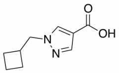 1-(Cyclobutylmethyl)-1H-Pyrazole-4-Carboxylic Acid