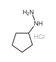 Cyclopentylhydrazine Hydrochloride