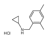 N-Cyclopropyl 2,4-dimethylbenzylamine Hydrochloride