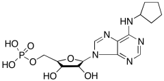 N6-Cyclopentyladenosine-5'-O-monophosphate