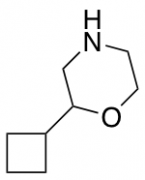 2-Cyclobutylmorpholine