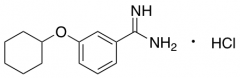 3-(Cyclohexyloxy)benzene-1-carboximidamide Hydrochloride