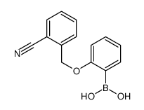 2-(2-Cyanophenylmethoxy)phenylboronic acid