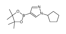 1-Cyclopentyl-1H-pyrazole-4-boronic acid, pinacol ester
