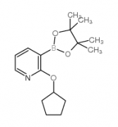 2-(Cyclopentyloxy)pyridine-3-boronic acid, pinacol ester