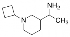 1-(1-cyclobutylpiperidin-3-yl)ethan-1-amine