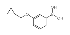 3-(Cyclopropylmethoxy)phenylboronic acid