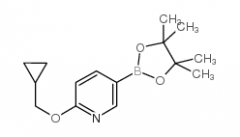 2-(Cyclopropylmethoxy)pyridine-5-boronic acid, pinacol ester