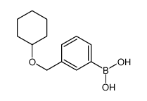 3-(Cyclohexyloxy)methylphenylboronic acid