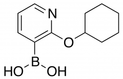[2-(Cyclohexyloxy)pyridin-3-yl]boronic acid