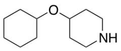 4-(cyclohexyloxy)piperidine