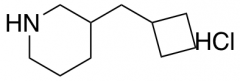 3-(cyclobutylmethyl)piperidine hydrochloride