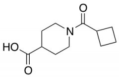 1-(cyclobutylcarbonyl)piperidine-4-carboxylic Acid
