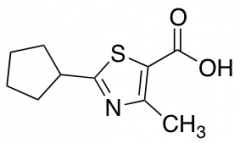 2-cyclopentyl-4-methyl-1,3-thiazole-5-carboxylic Acid