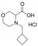 4-(cyclobutylmethyl)morpholine-3-carboxylic acid hydrochloride
