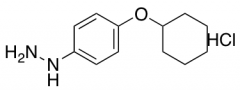(4-Cyclohexyloxy-Phenyl)-Hydrazine Hydrochloride