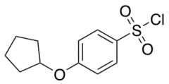 4-(Cyclopentyloxy)benzene-1-sulfonyl chloride