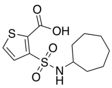 3-(Cycloheptylsulfamoyl)thiophene-2-carboxylic Acid