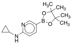 N-Cyclopropyl-5-(4,4,5,5-tetramethyl-1,3,2-dioxaborolan-2-yl)pyridin-2-amine