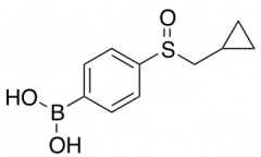 4-(Cyclopropylmethylsulfinyl)phenylboronic Acid