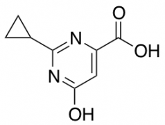 2-Cyclopropyl-6-hydroxypyrimidine-4-carboxylic Acid
