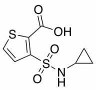 3-(Cyclopropylsulfamoyl)Thiophene-2-Carboxylic Acid