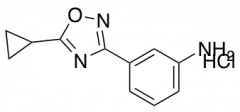 3-(5-Cyclopropyl-1,2,4-Oxadiazol-3-Yl)Aniline Hydrochloride
