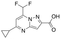 5-Cyclopropyl-7-(Difluoromethyl)Pyrazolo[1,5-A]Pyrimidine-2-Carboxylic Acid