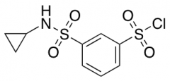 3-(Cyclopropylsulfamoyl)Benzene-1-Sulfonyl Chloride
