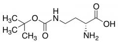 H-D-Dab(boc)-OH