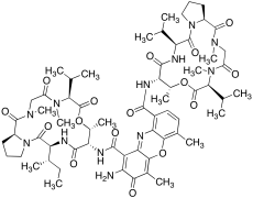 Actinomycin C